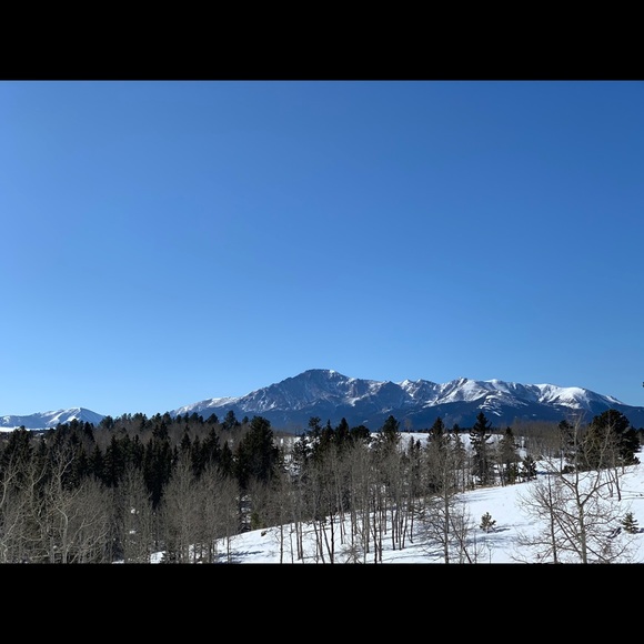 Meet your Posher, Tony - Picture 4 of 4